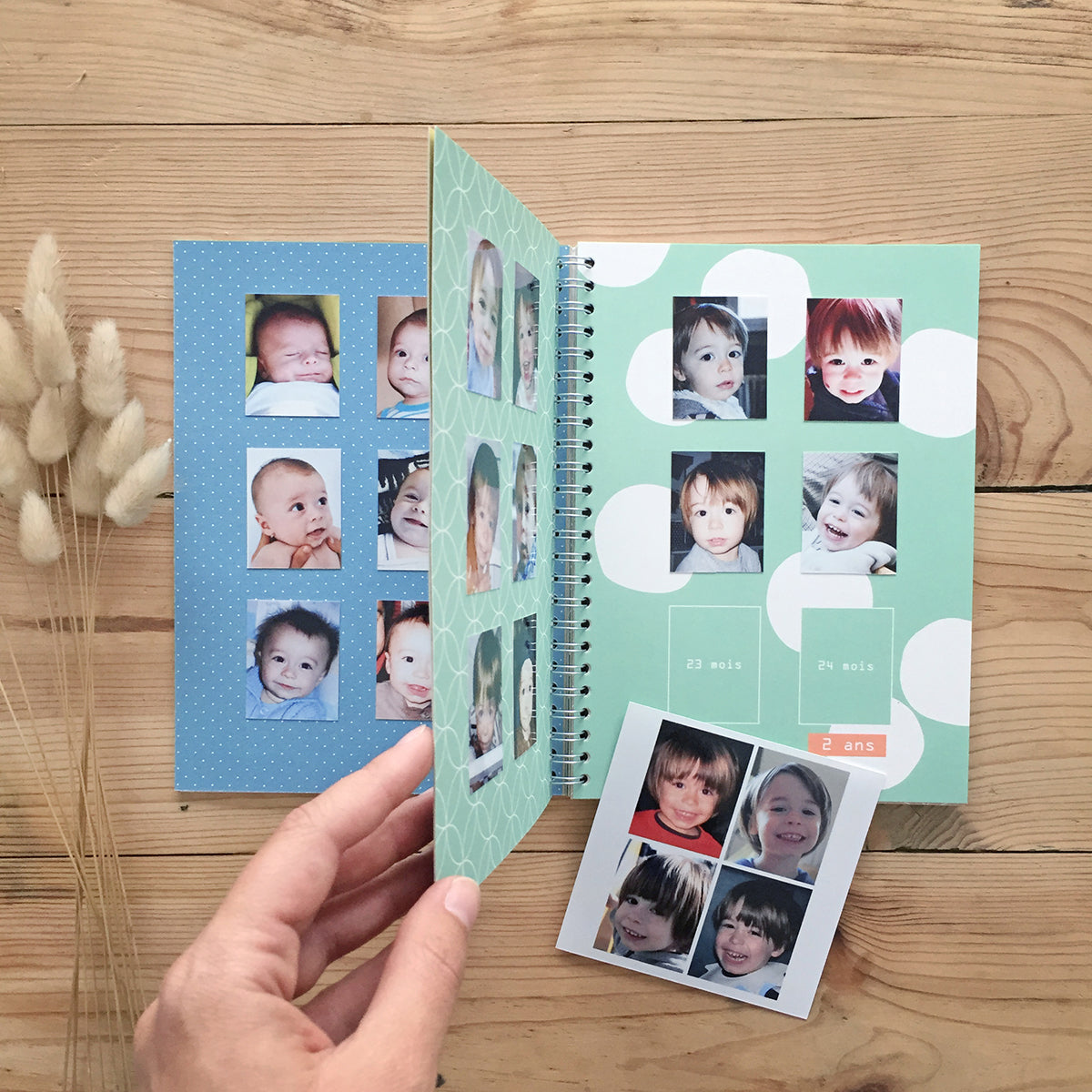 Smile mon petit album - Sauge